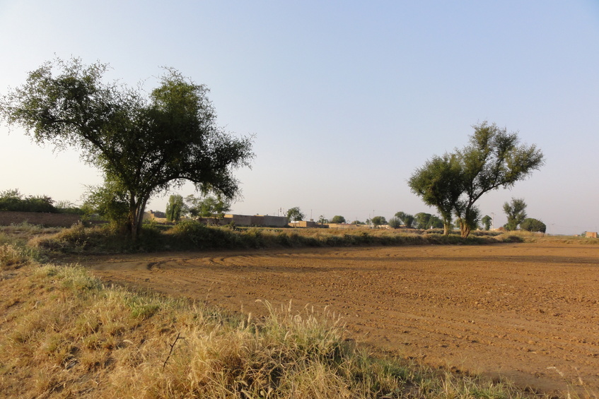 General view of Confluence