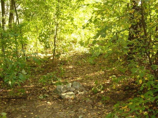 General view - Widok ogólny