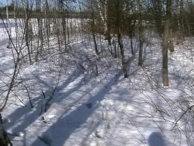 Na śniegu widać ledwo zarysowany okrąg. Punkt jest w jego środku.