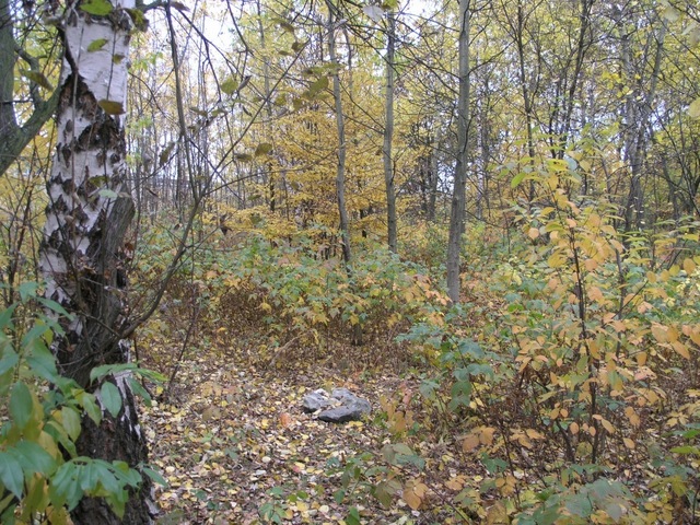 Stone marker, about 5 m from the correct position