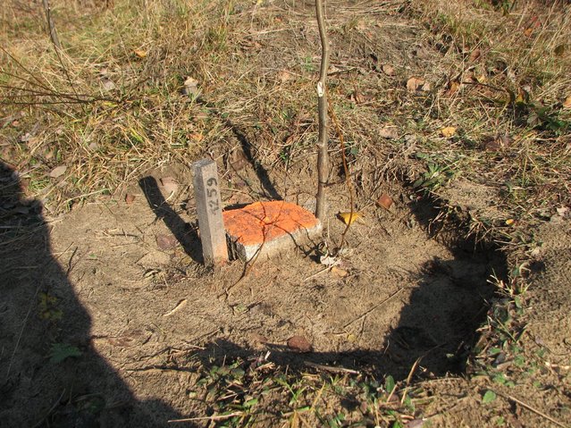 geodetic marker near confluence