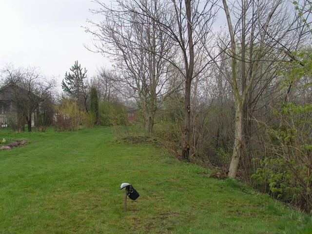 view to east, stick is exactly there, where the confluence is