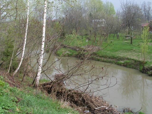 river flowing 2 meters from the confluence