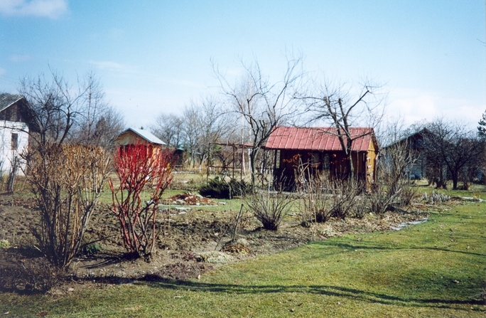 View towards NE from the confluence