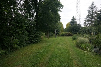 #1: View of the confluence from about 15m E