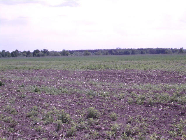 view south east - widok na poludniowy wschod