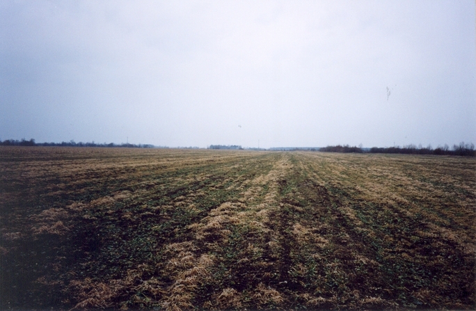 View towards W from the confluence