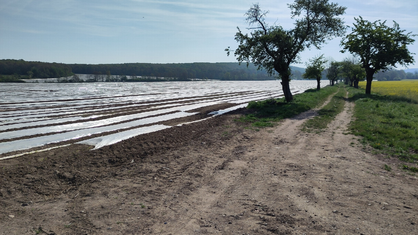 fields covered with foil