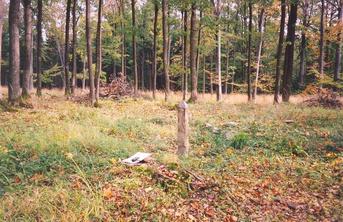 #1: General view of the confluence (towards SE)