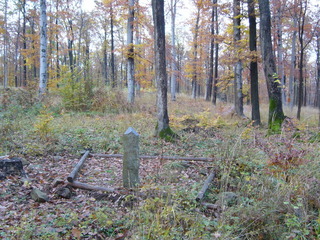 #1: General view - Widok ogólny