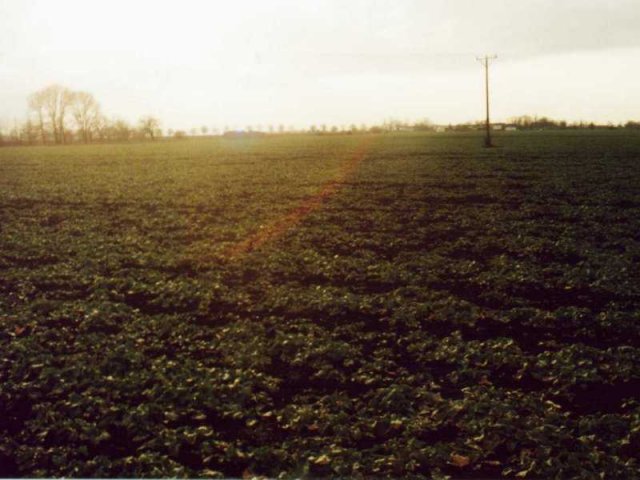 View towards misty Œlê¿a