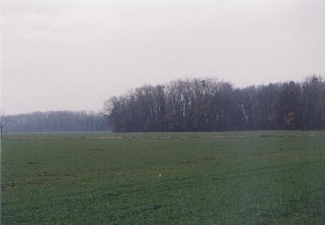 General view of the confluence( towards N )