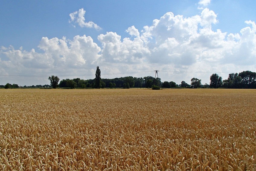 View to the south / Вид на юг