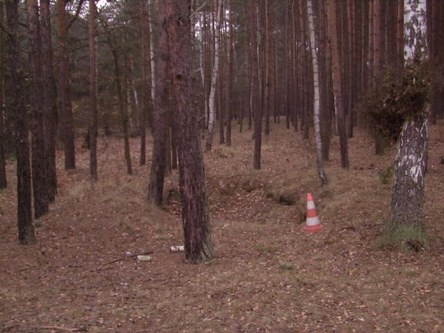 Artillery trench in the forest