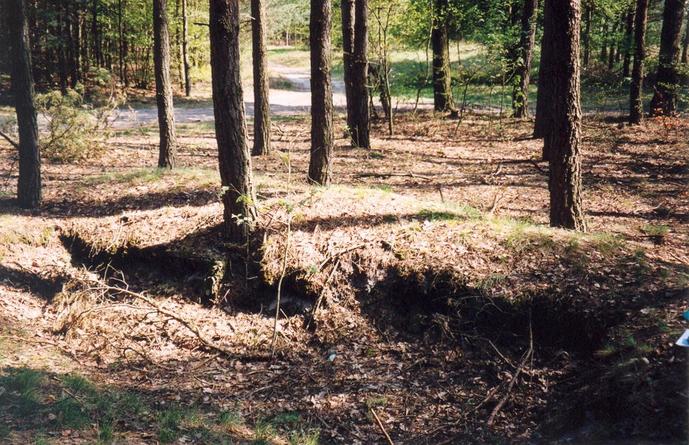 General view of the confluence and a nearby path (towards SE)