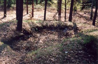 #1: General view of the confluence (towards SW)