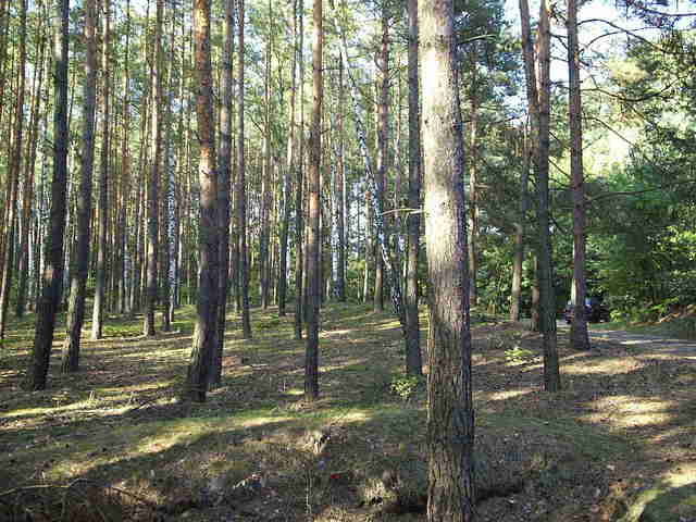 Widok na dół z kierunku północno wschodniego.