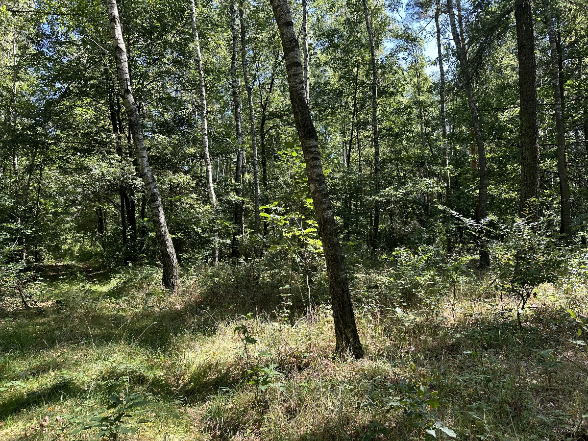 The Confluence from 20m Distance