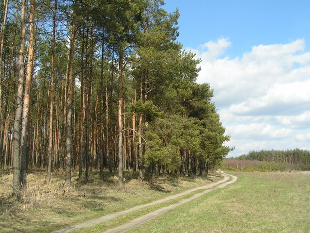 100 meters to the confluence point