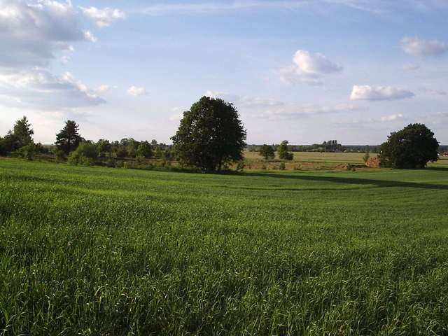 Widok w kierunku N / view north