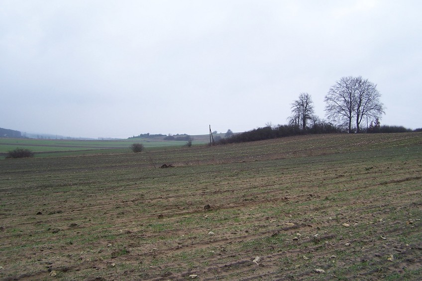 View towards S from the confluence