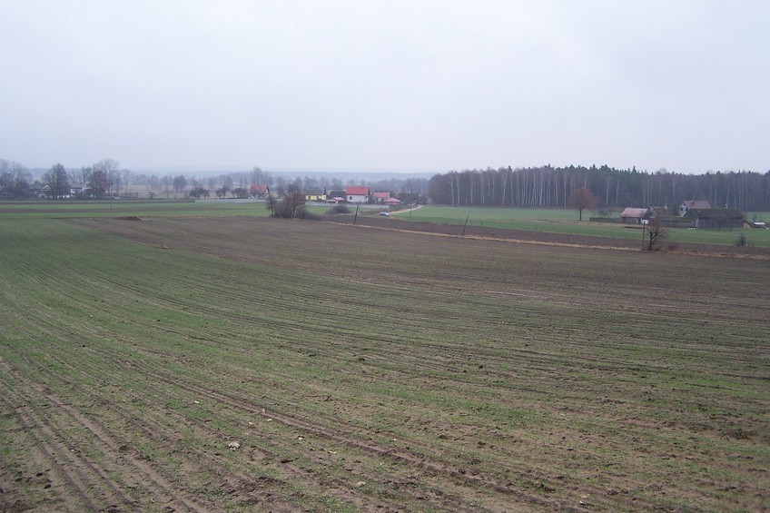 View towards NE from the confluence