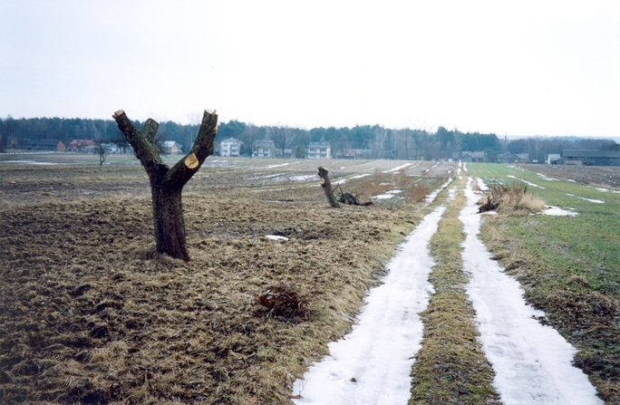 General view of the confluence (towards S)