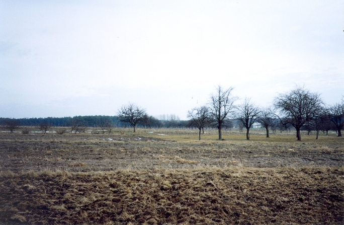 View towards E from the confluence