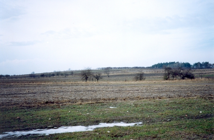 View towards W from the confluence