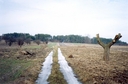 #2: View towards N from the confluence