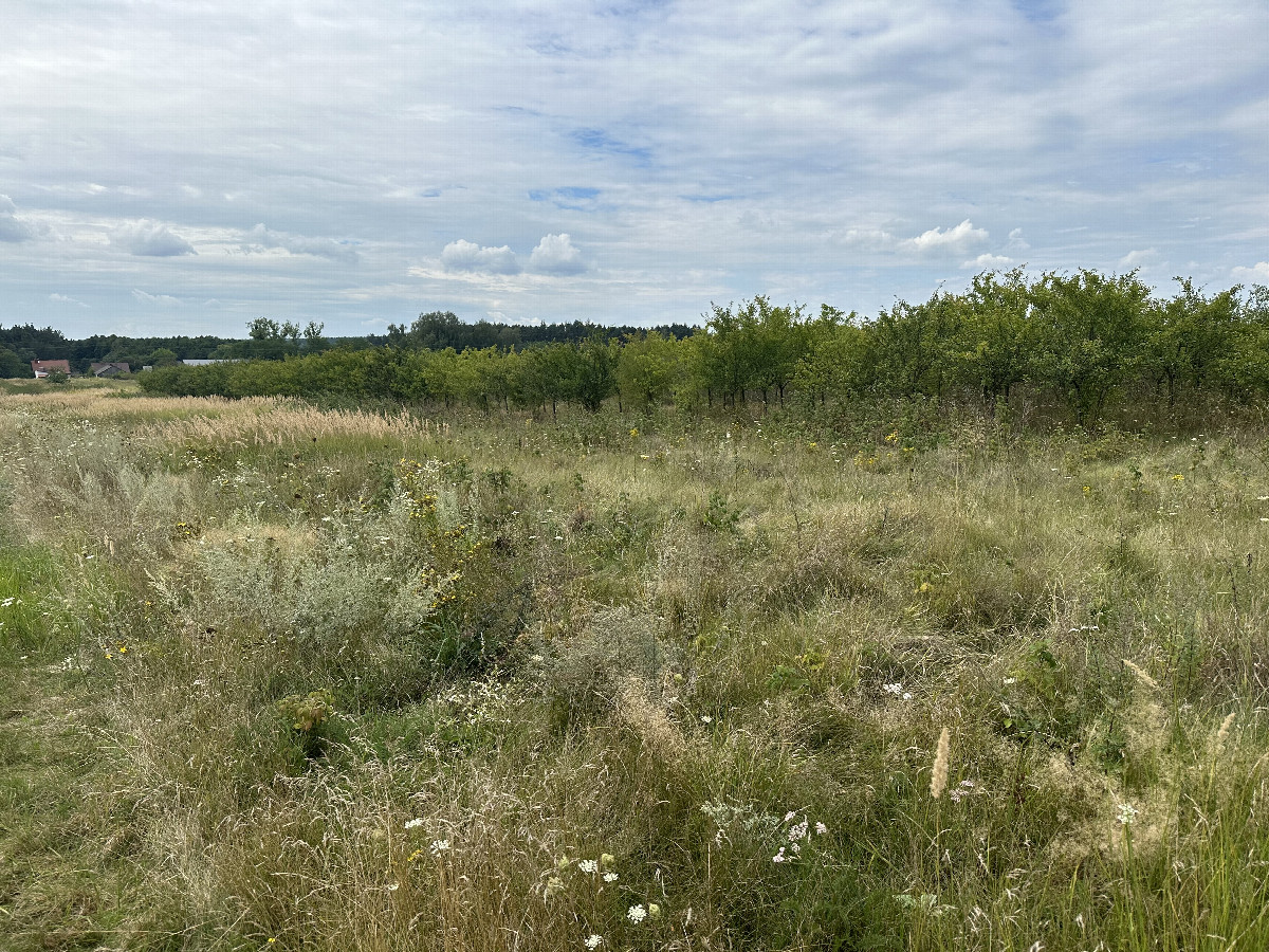 The Confluence from 20m Distance