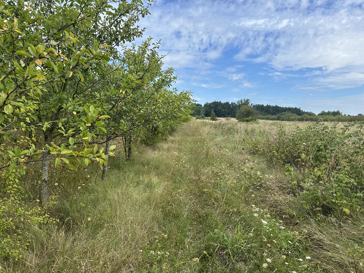 View to the North