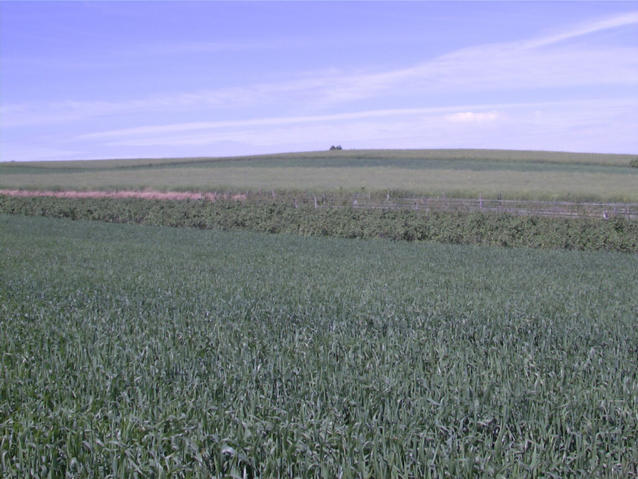 view north-west - widok na polnocny zachod