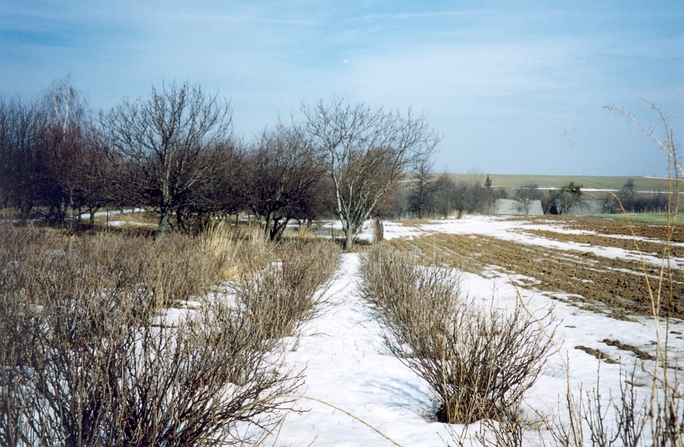 View towards N from the confluence