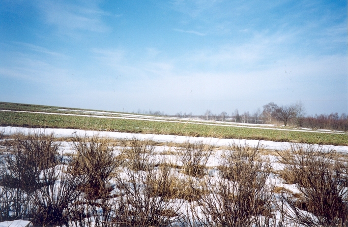 View towards W from the confluence