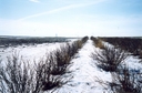 #4: View towards S from the confluence