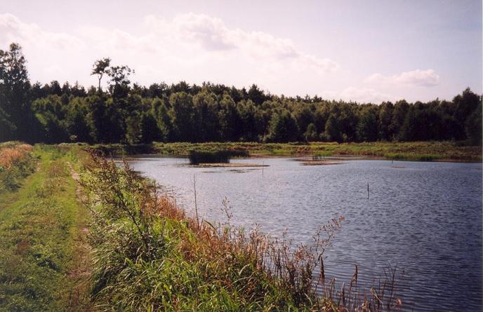 View towards SW from the confluence