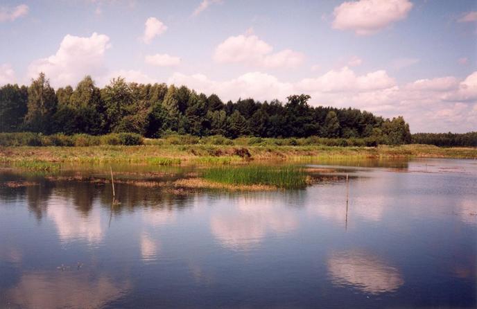 View towards W from the confluence