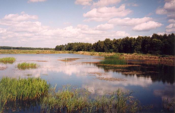 General view of the confluence (towards NE, ca. 160 m away)