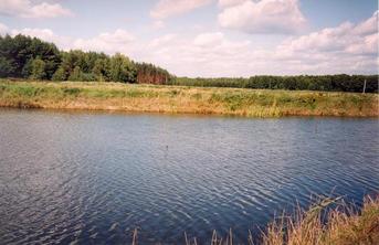 #1: General view of the confluence (towards NW, CP in water ca. 10 m away)