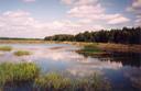 #4: General view of the confluence (towards NE, ca. 160 m away)