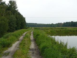 #1: Widok na stawy w kierunku południowym.