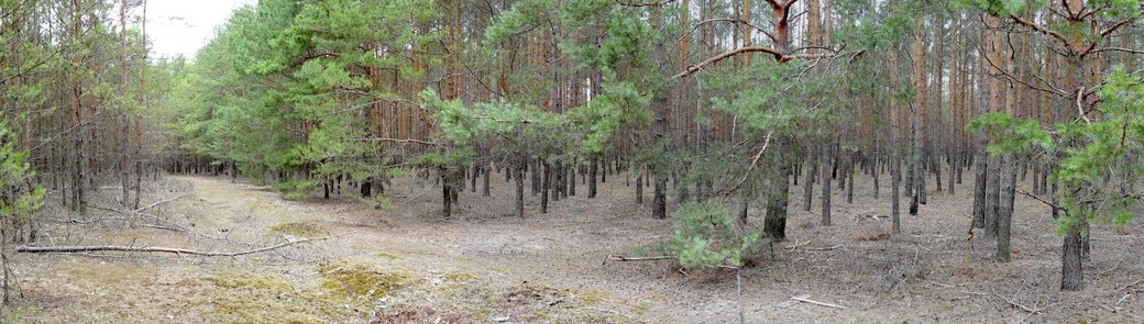 Widok na punkt w kierunku NE