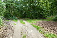 #11: Rozstaje druk na wysokości południka 17°E. Odnoga skrajnie prawa prowadzi do punktu. / The crossroads at the meridian of 17°E. The far right branch leads to the CP.