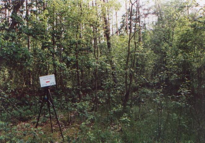 Tripod at the confluence / Trójnóg na przecięciu