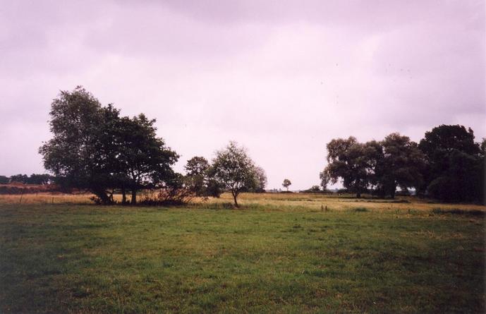 View towards SE from the confluence