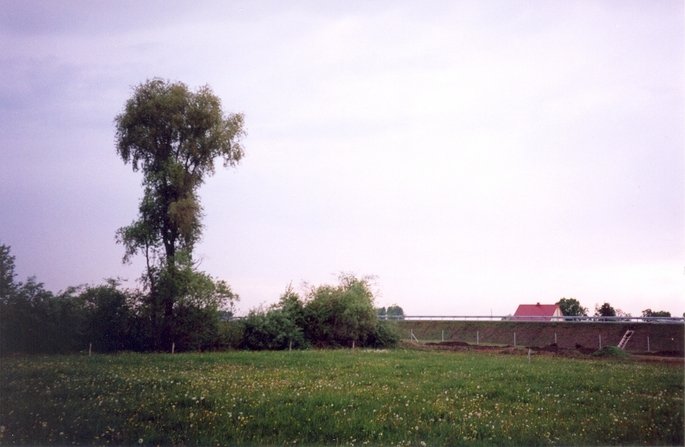 View towards NW from the confluence