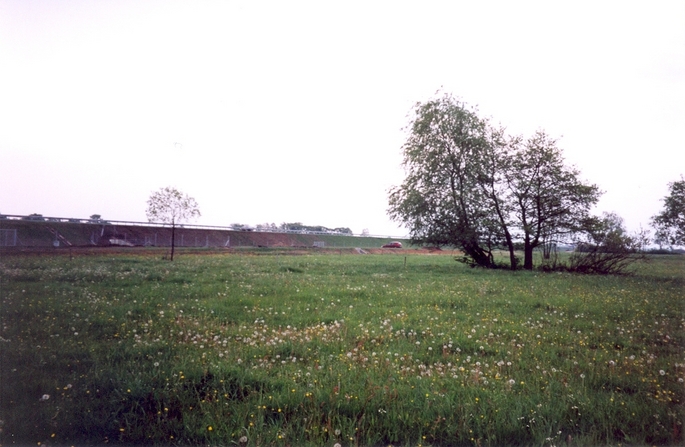 View towards NE from the confluence