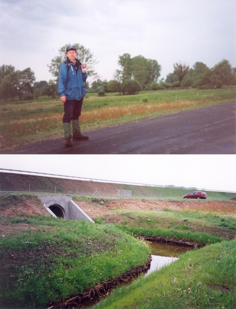 Near the confluence (view towards NE) and the drainage ditches surrounding the "zero"point