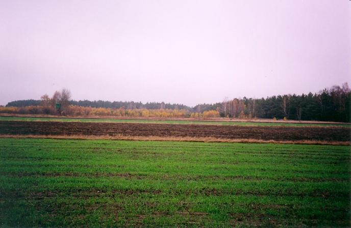 View towards N from the confluence